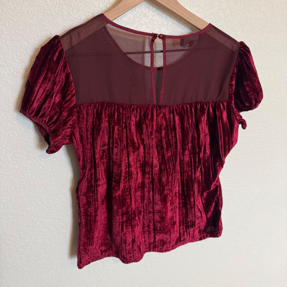 Coquette Whimsygoth Mesh Ivonne Velvet Blouse Medium Red - Picture 3 of 4
